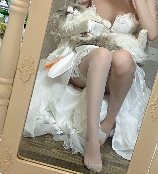 星落凝成糖在线观看_免费追剧在线观看